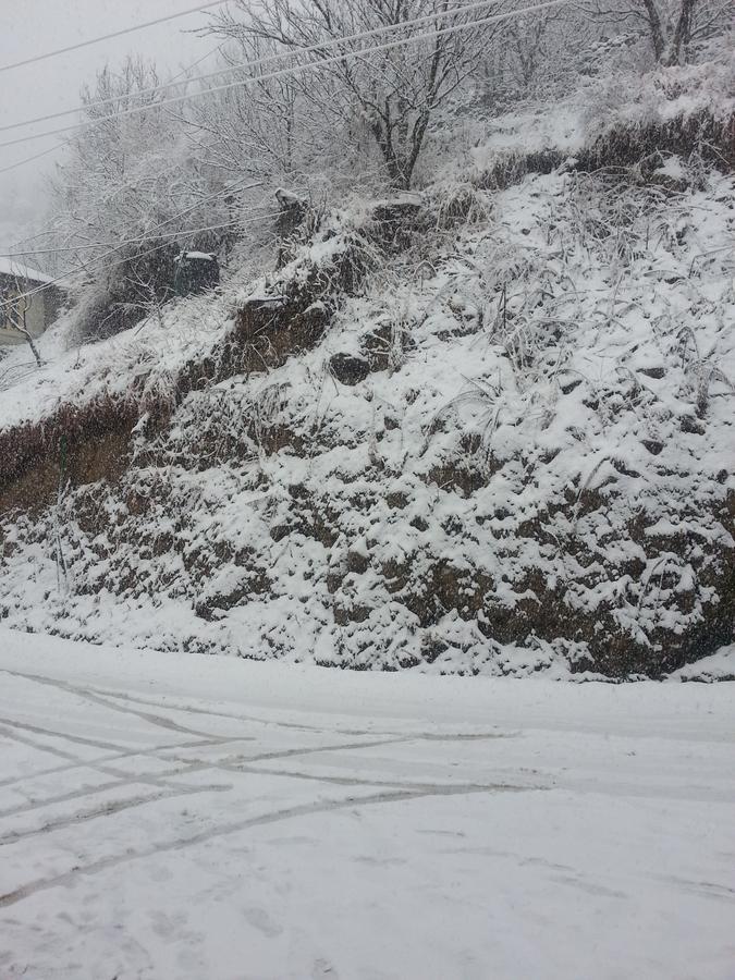 Holiday Bnb Manali Buitenkant foto